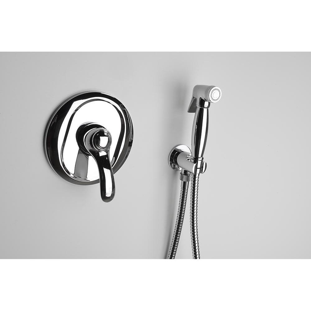 Bidetbrause, Retro-Stil, Schlauch und Brausehalter mit Duschanschluss, Chrom