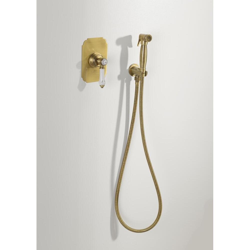 Bidetbrause, Retro-Stil, Schlauch und Brausehalter mit Duschanschluss, Bronze