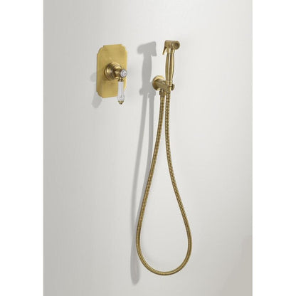 Bidetbrause, Retro-Stil, Schlauch und Brausehalter mit Duschanschluss, Bronze