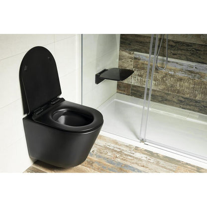 PACO Hänge-WC, spülrandlos, 36x53cm, Schwarz matt