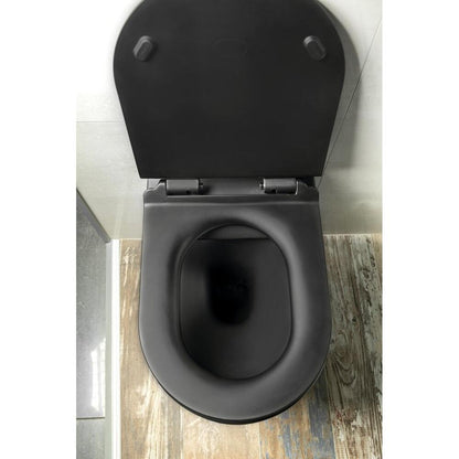 PACO Hänge-WC, spülrandlos, 36x53cm, Schwarz matt