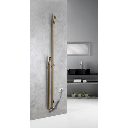 DUOPASSO Handtuchtrockner elektrisch mit Zeitschaltuhr, 122x1700mm, 45 W, Gold matt